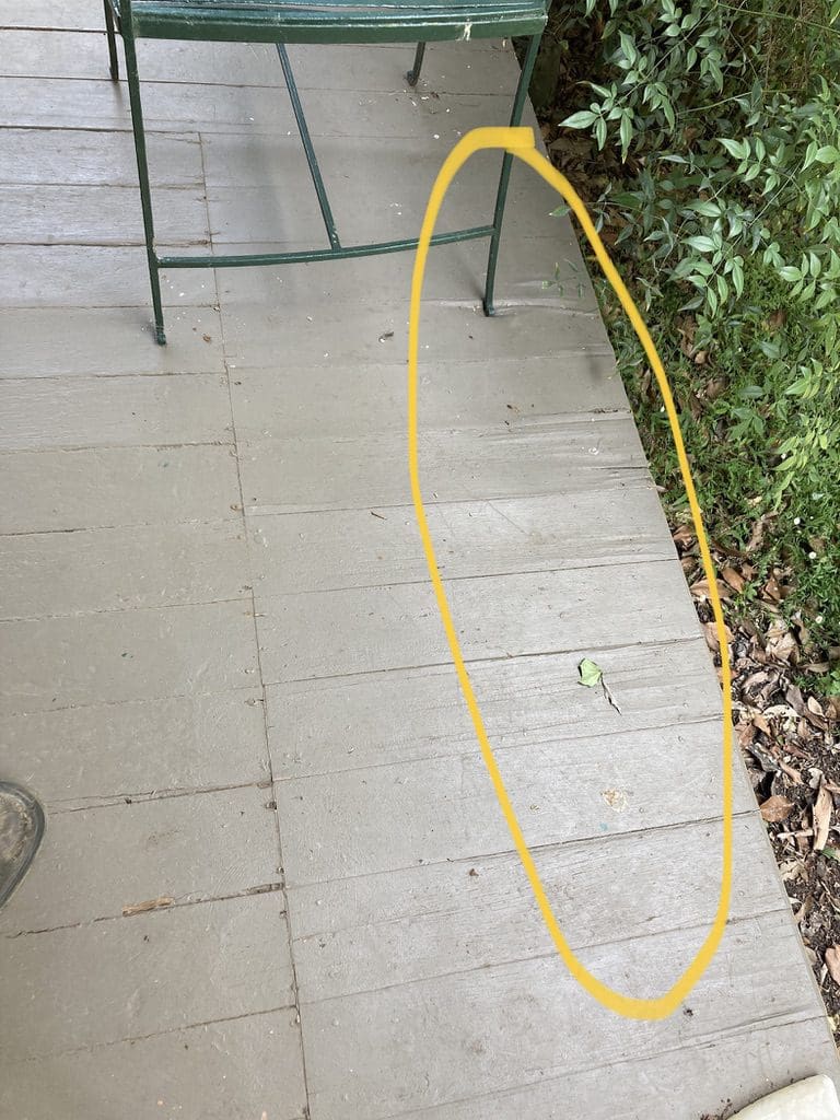 A verandah of a home in Cobbitty near Camden with termites or white ants