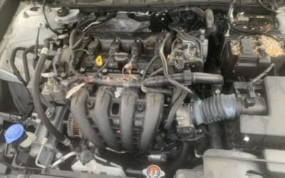 How Rats Can Wreck Your Car: Damage, Costs & Prevention Tips