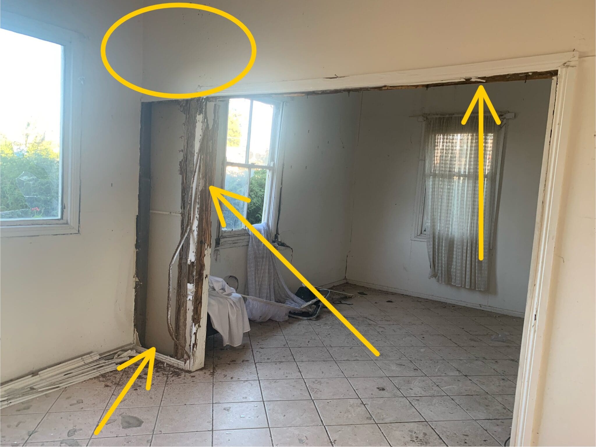 Termites found in a home in Douglas Park during an Inspection Termites found in a home in Douglas Park during an Inspection